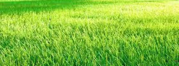 image-760636-fall-clean-up.jpg